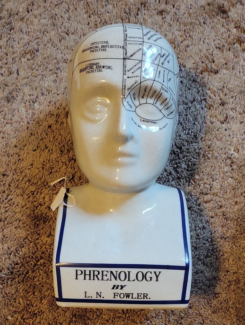 Ceramic Phrenology Head Bust in White with Black Print